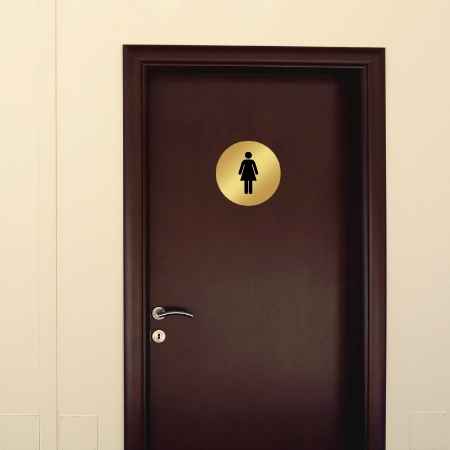 Placuta gravata usa toaleta