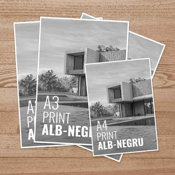 Print alb-negru A3-A4