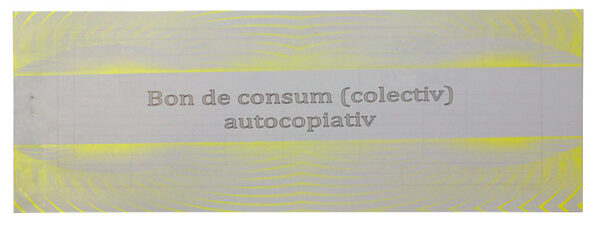 Bon consum A5 autocopiativ 2ex