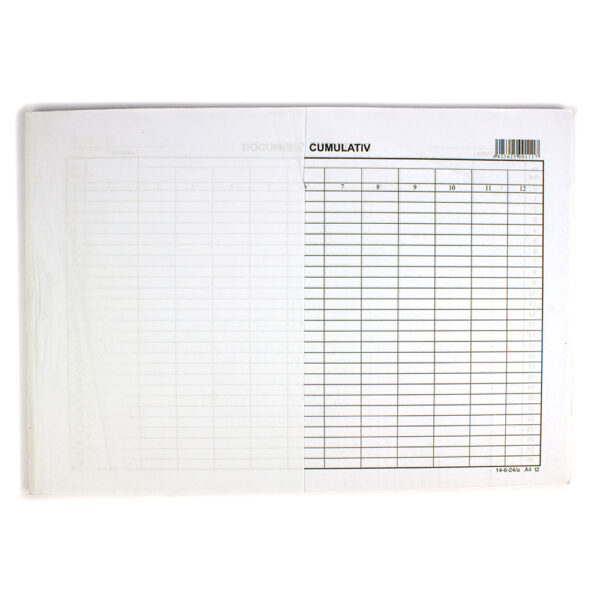 Document cumulativ A4 orizontal