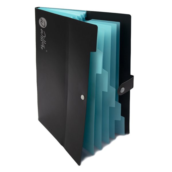 Mapa plastic A4 cu clapa si 6 compartimente Willgo
