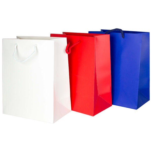 Punga din carton 210gr plastifiat mat 18,5*23*10 cm -rosu