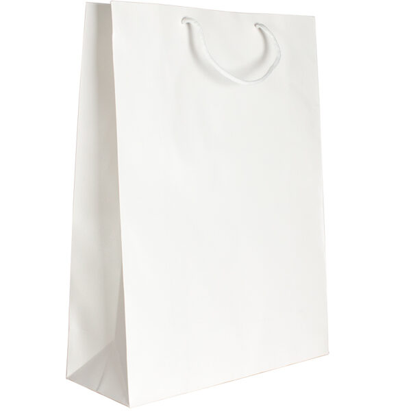 Punga din carton 210gr plastifiat mat 31*42*12 cm - alb